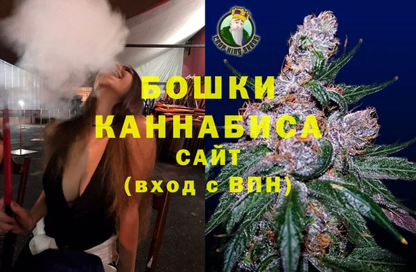 дмт Богданович